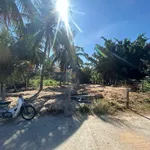 Bán đất 177m² mặt tiền đường bê tông gần biển tại Xuân Đài, Sông Cầu, Đắk Lắk - Ảnh thu nhỏ 2