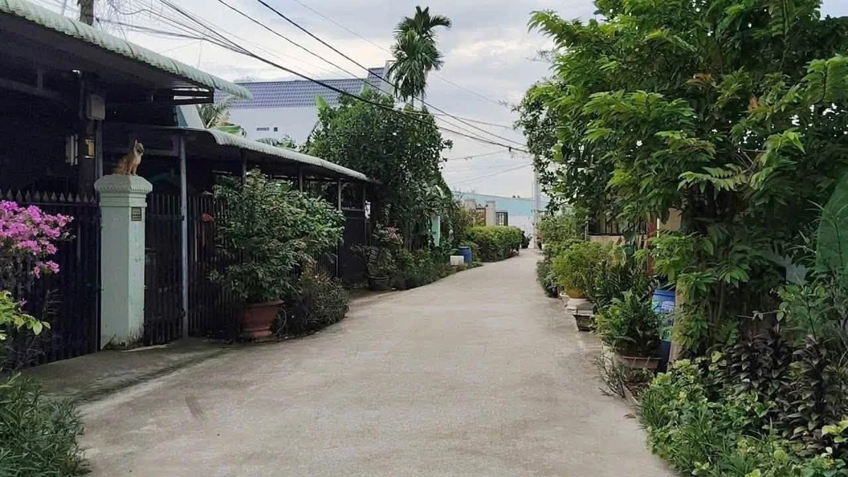 Bán lô đất góc 2 mặt tiền 123m² Bình Mỹ, Củ Chi 2 tỷ - Ảnh thu nhỏ 3