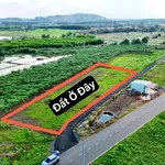 Bán đất 142m2 sát ĐT.992, Đất Đỏ, Bà Rịa - Vũng Tàu - Ảnh thu nhỏ 4