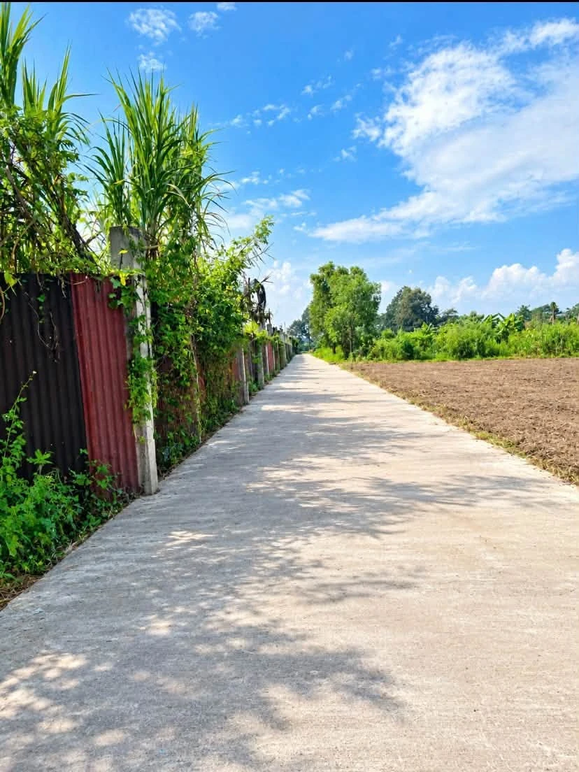 Bán đất thổ cư 100m² Trảng Bom giá 500tr+ - Ảnh thu nhỏ 2