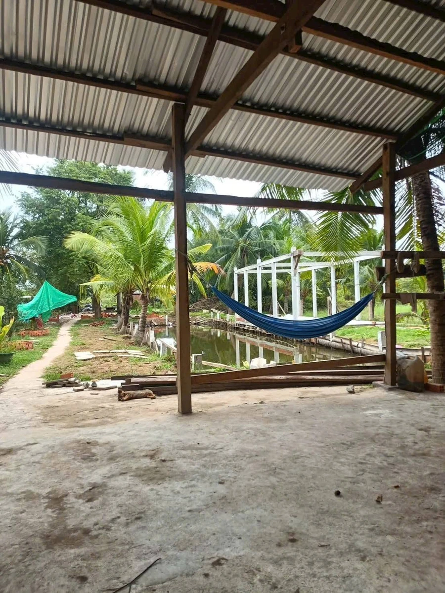 Bán đất 532m² Mỏ Cày, Bình Chánh, 900 triệu - Ảnh thu nhỏ 4