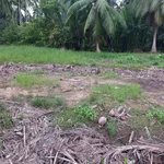 Bán đất nền 377m2 giá 549 triệu, sổ sẵn, Phường An Hội, Bến Tre (Vĩnh Long) - Ảnh thu nhỏ 2