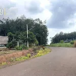 Bán đất nền 100m² sổ sẵn Đồng Phú Bình Dương - Ảnh thu nhỏ 2