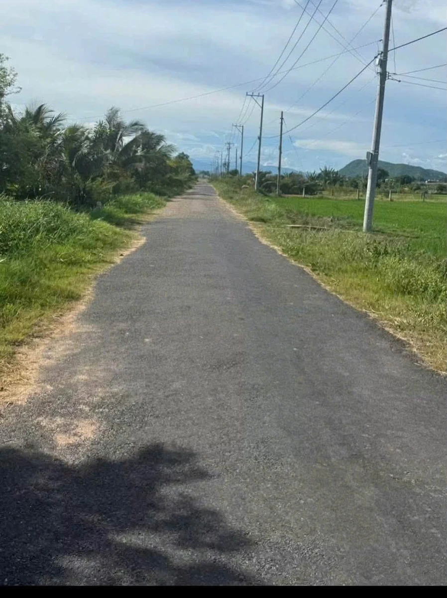 Bán đất nông nghiệp 2600m2 mặt tiền Nguyễn Văn Trỗi Ma Lâm - Ảnh thu nhỏ 4