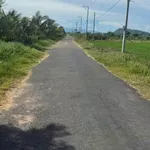 Bán đất nông nghiệp 2600m2 mặt tiền Nguyễn Văn Trỗi Ma Lâm - Ảnh thu nhỏ 4