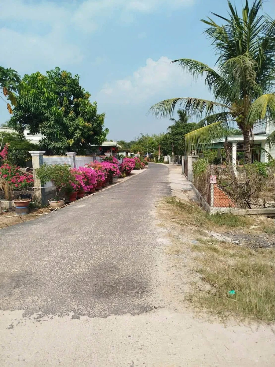 Bán đất 205m² Xã Tân Phong, Tây Ninh - 260 triệu - Ảnh thu nhỏ 4