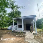 Bán đất sào Thuận Hòa 2542 m² với nhà cấp 4, Lâm Đồng - Ảnh thu nhỏ 2