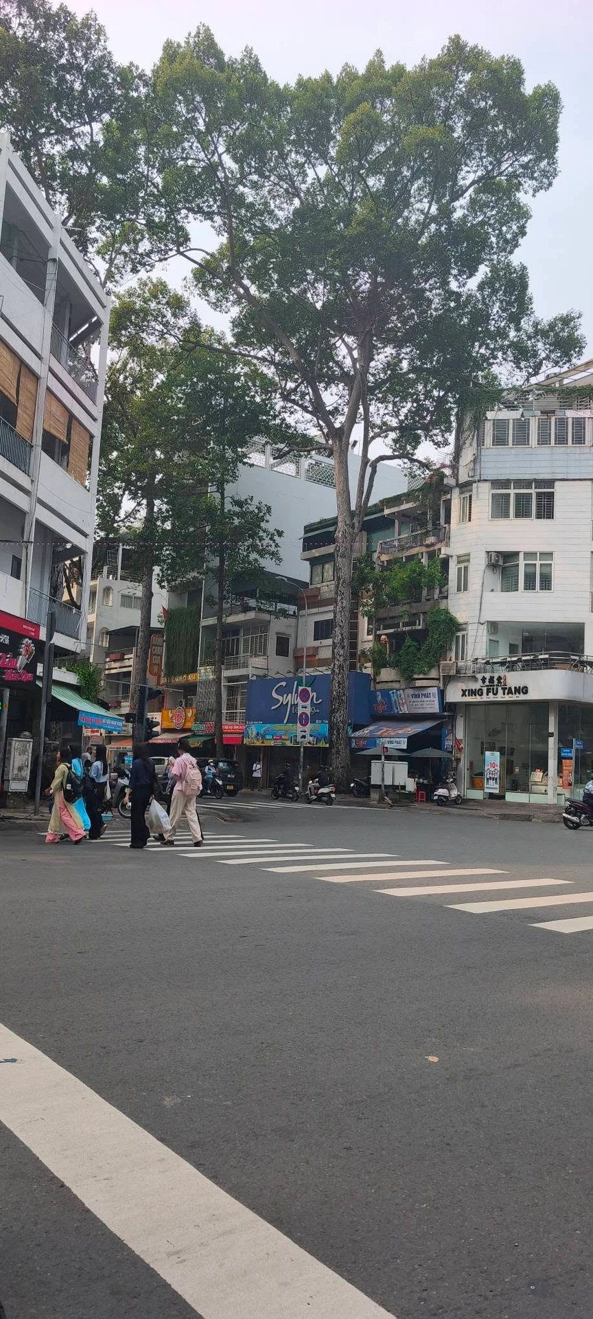 Bán nhà 56m2 ngang 6m gần ĐH Sư Phạm, Nguyễn Trãi, Quận 5, giá nhỉnh 7 tỷ - Ảnh 1