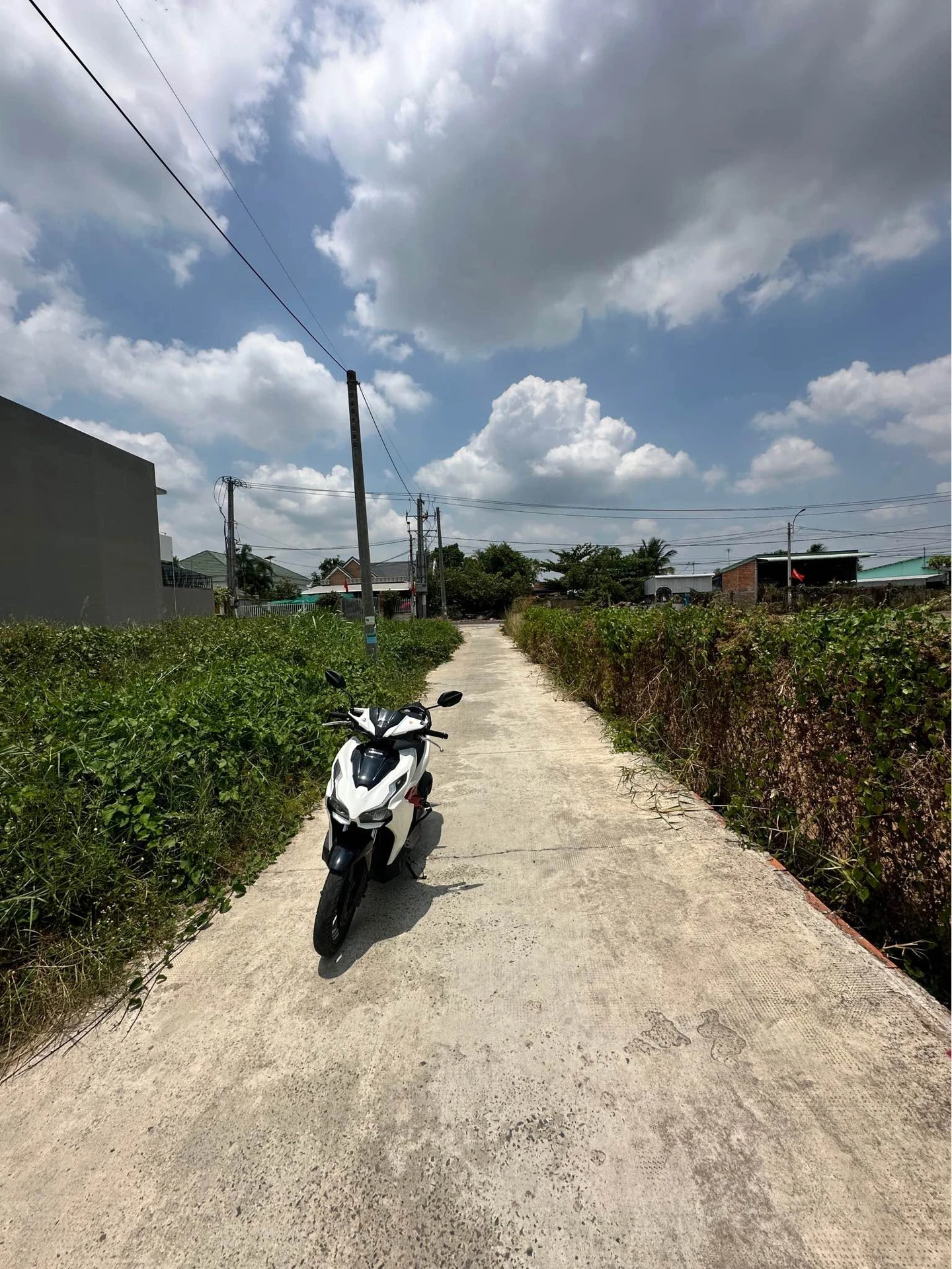 Bán đất thổ cư Phường 5 Tân An, 5x20m (100m²) - Ảnh 1