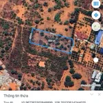 Bán đất CLN Thiện Sơn 3.400m² giá 6,8 tỷ Lâm Đồng - Ảnh thu nhỏ 1