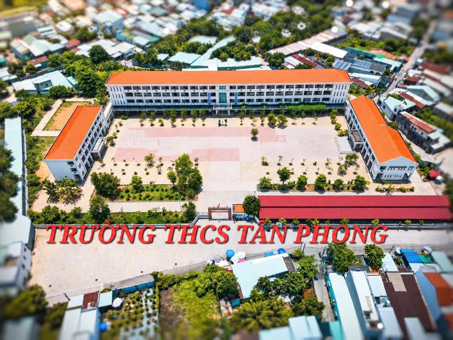 Bán lô đất 203m2 Phường Tân Triều, Đồng Nai - Ảnh 1