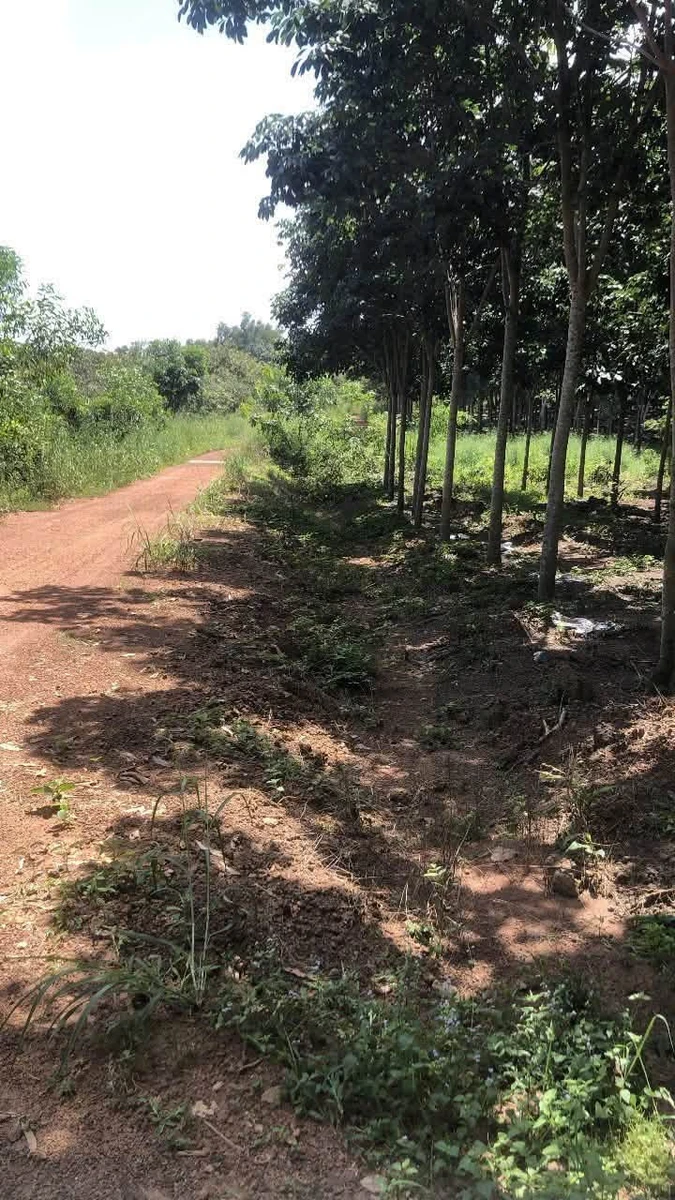 Bán đất 1ha2320m2 Chơn Thành Đồng Nai - Ảnh thu nhỏ 2