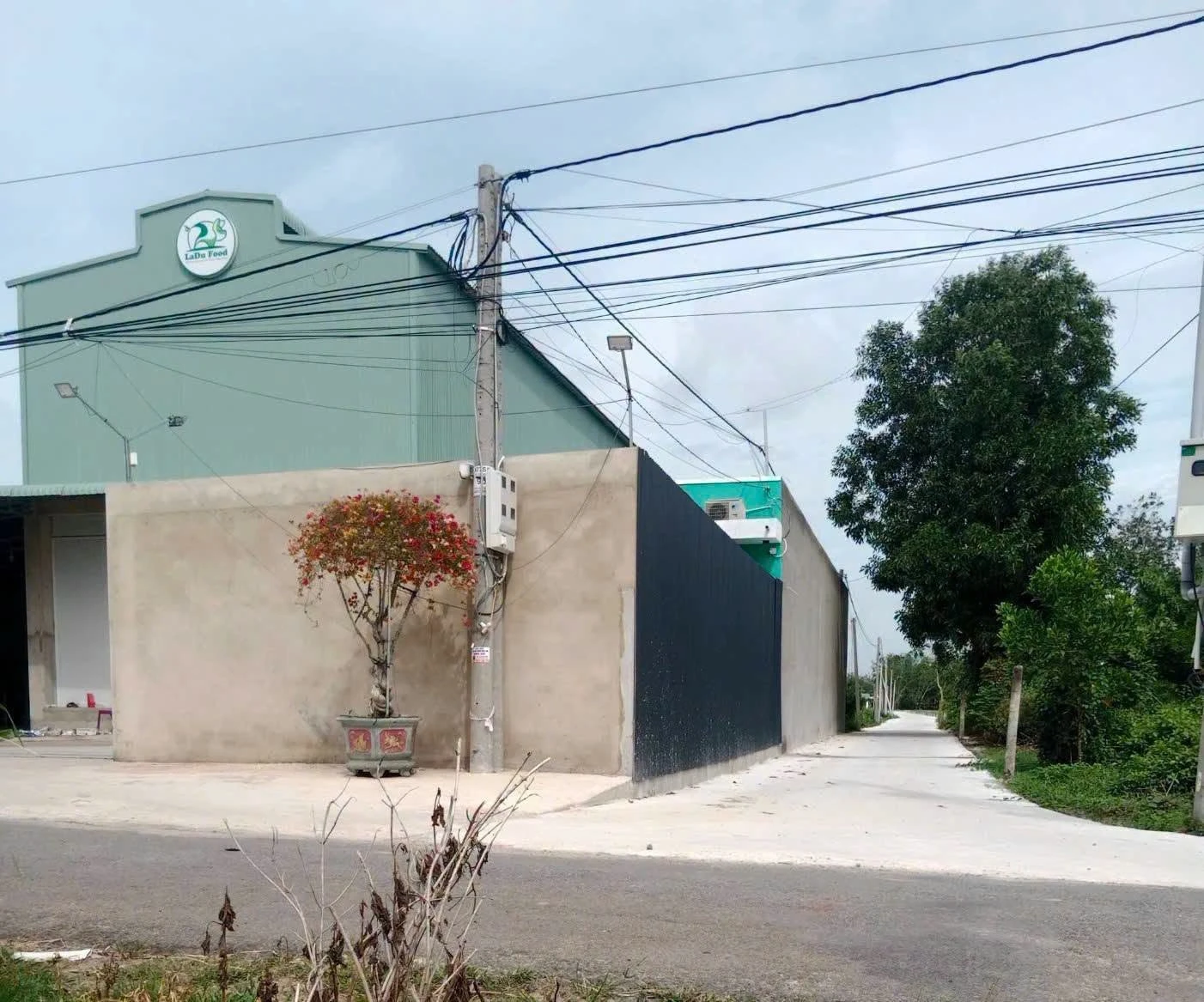 Bán đất thổ cư 300m² mặt tiền đường Petong, Tây Ninh - Ảnh 1