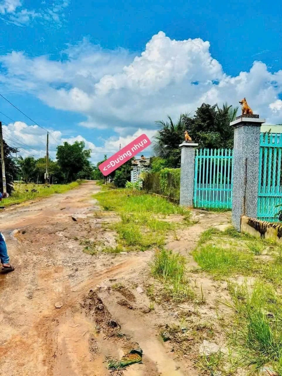 Bán nhà 5x30m giá 360 triệu gần chợ Tân Phú, xã Tân Hưng, Tân Châu, Tây Ninh - Ảnh thu nhỏ 4