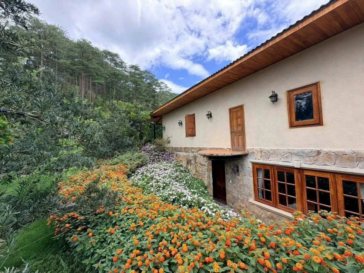 Bán villa sân vườn 2000m² 23 tỷ Đà Lạt chân đèo Prenn - Ảnh thu nhỏ 2