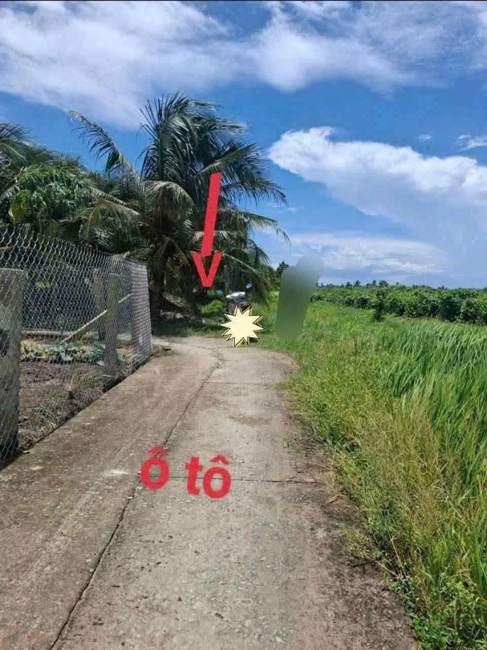 Bán đất 1000m² Lợi Bình Nhơn, Tân An, Long An - Ảnh 1