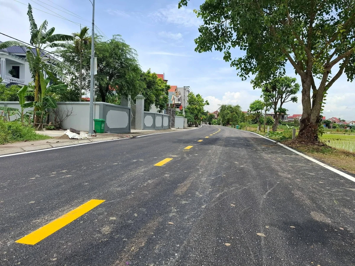 Bán đất kinh doanh 175m2 Dưỡng Mông Củ Chi 2 tỷ - Ảnh thu nhỏ 3