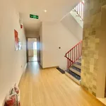 Bán tòa căn hộ dịch vụ 4,5 tầng 94m2, 11 phòng, KĐT Nam Việt Á, Đà Nẵng - Ảnh thu nhỏ 2