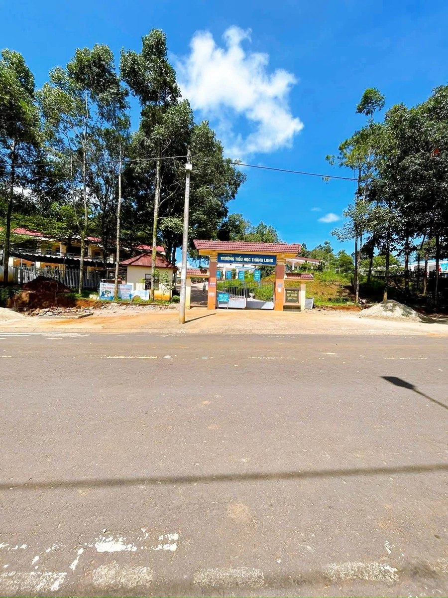 Bán đất mặt tiền Trần Khánh Dư, 288m², Lâm Đồng, 1,9 tỷ - Ảnh thu nhỏ 5