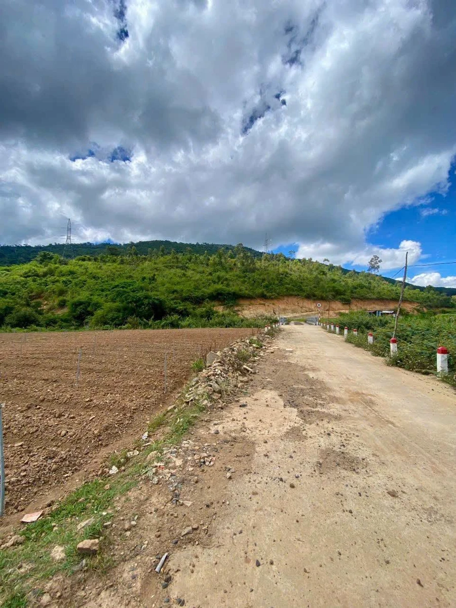 Bán đất 3200m2 view suối tại Hiệp Thạnh, Lâm Đồng - Ảnh thu nhỏ 2