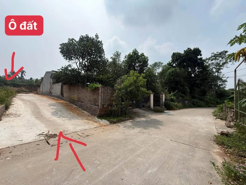 Bán đất 101m2 có 80 thổ cư 360 triệu Tiên Kiên