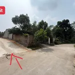 Bán đất 101m2 có 80 thổ cư 360 triệu Tiên Kiên - Ảnh thu nhỏ 1