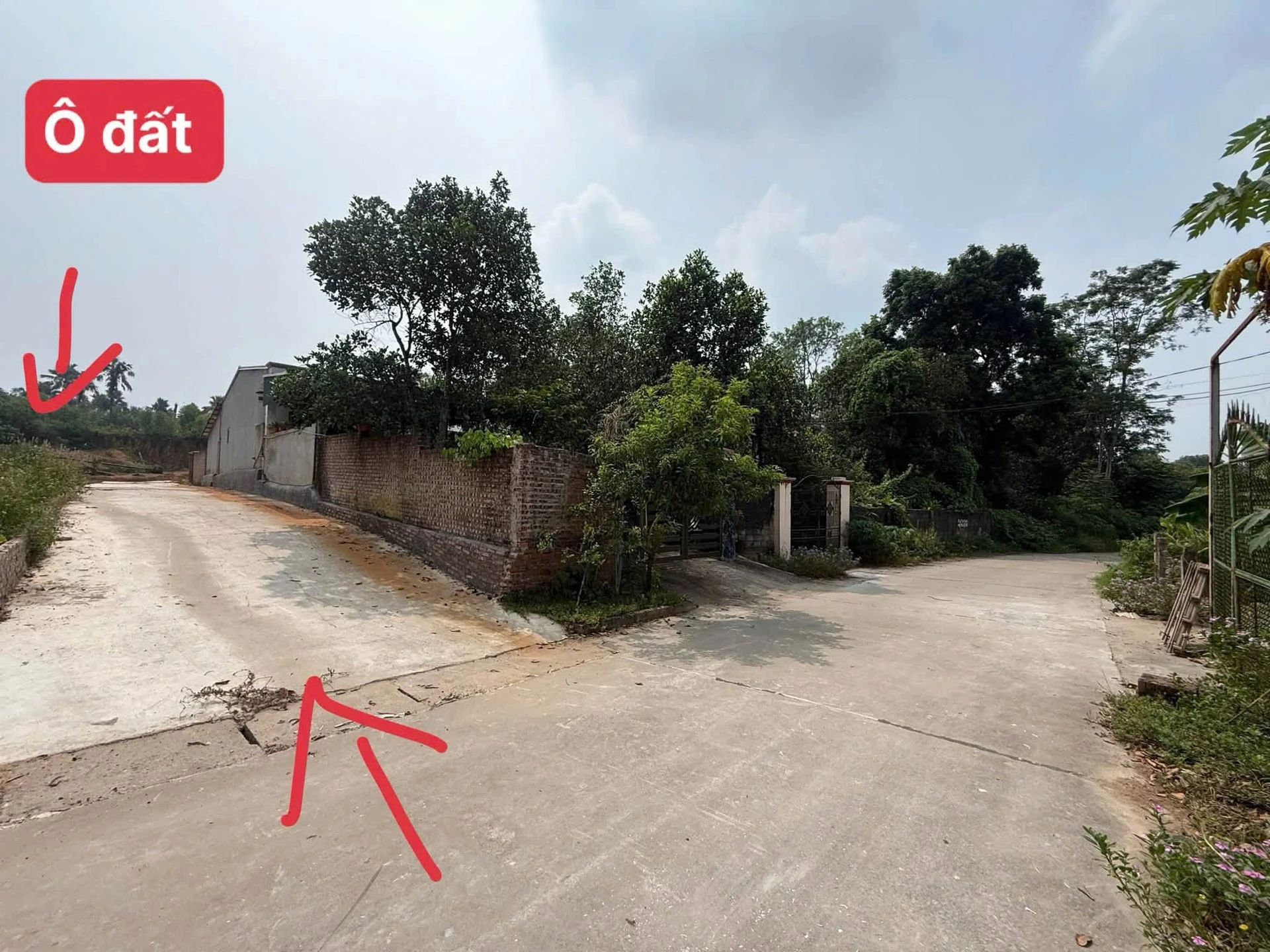 Bán đất 101m2 có 80 thổ cư 360 triệu Tiên Kiên - Ảnh 1