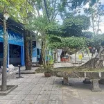 Bán gấp mặt đường Quản Lộ Phụng Hiệp, Tân Thành, Cà Mau, 8898m, ngang 69m, chỉ 29 tỷ - Ảnh thu nhỏ 7