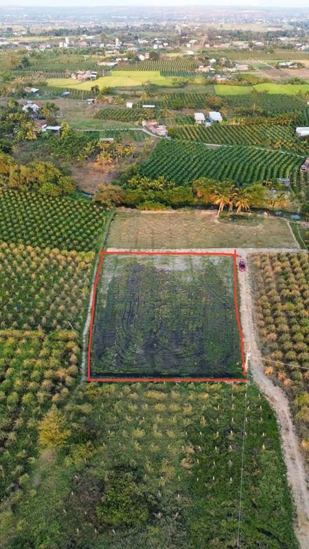 Bán đất 1100m² Cây Lâu Năm, Phan Thiết, 429 triệu