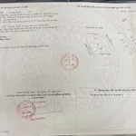 Bán đất Bình Hòa Thuận An Bình Dương 201m2 - Ảnh thu nhỏ 1