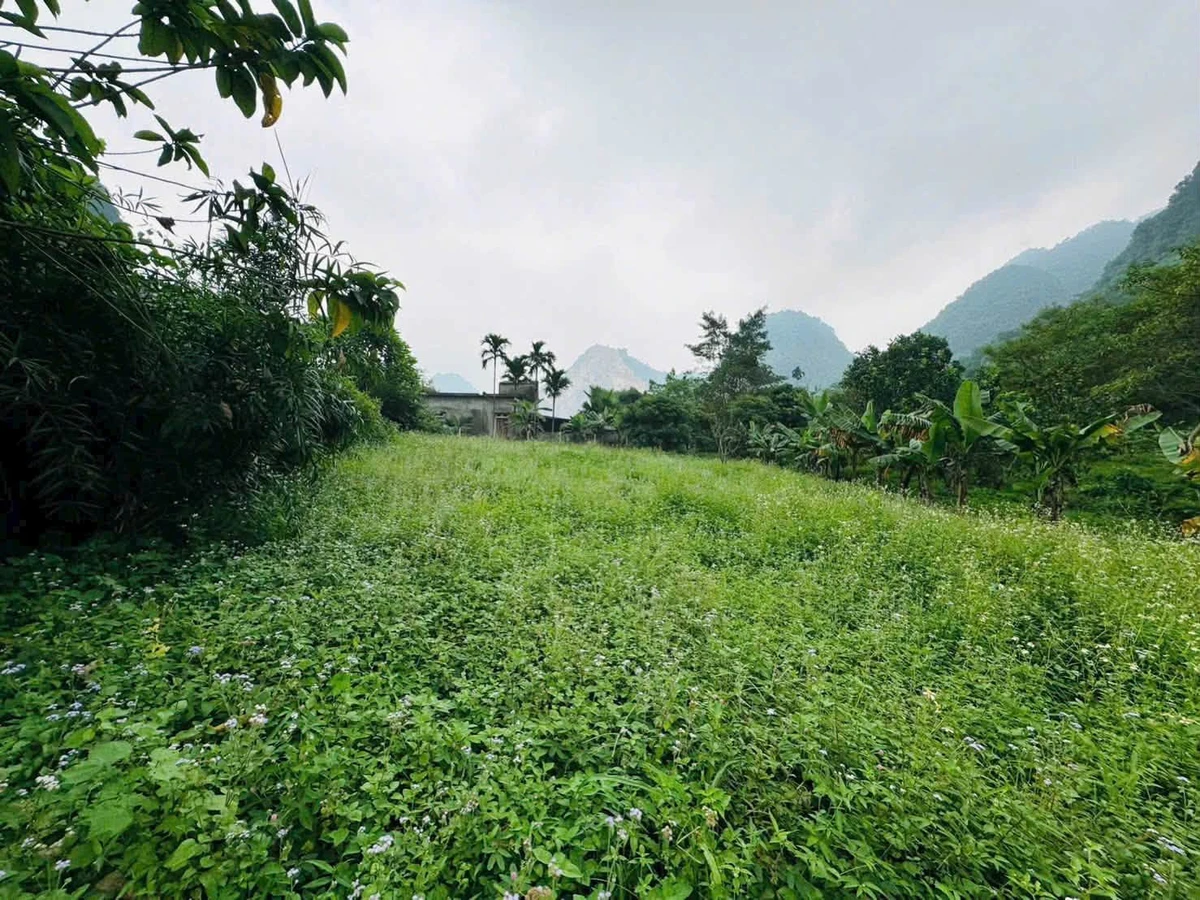Bán đất 1160m² view núi, Đú Sáng, Kim Bôi, Hòa Bình - Ảnh thu nhỏ 3