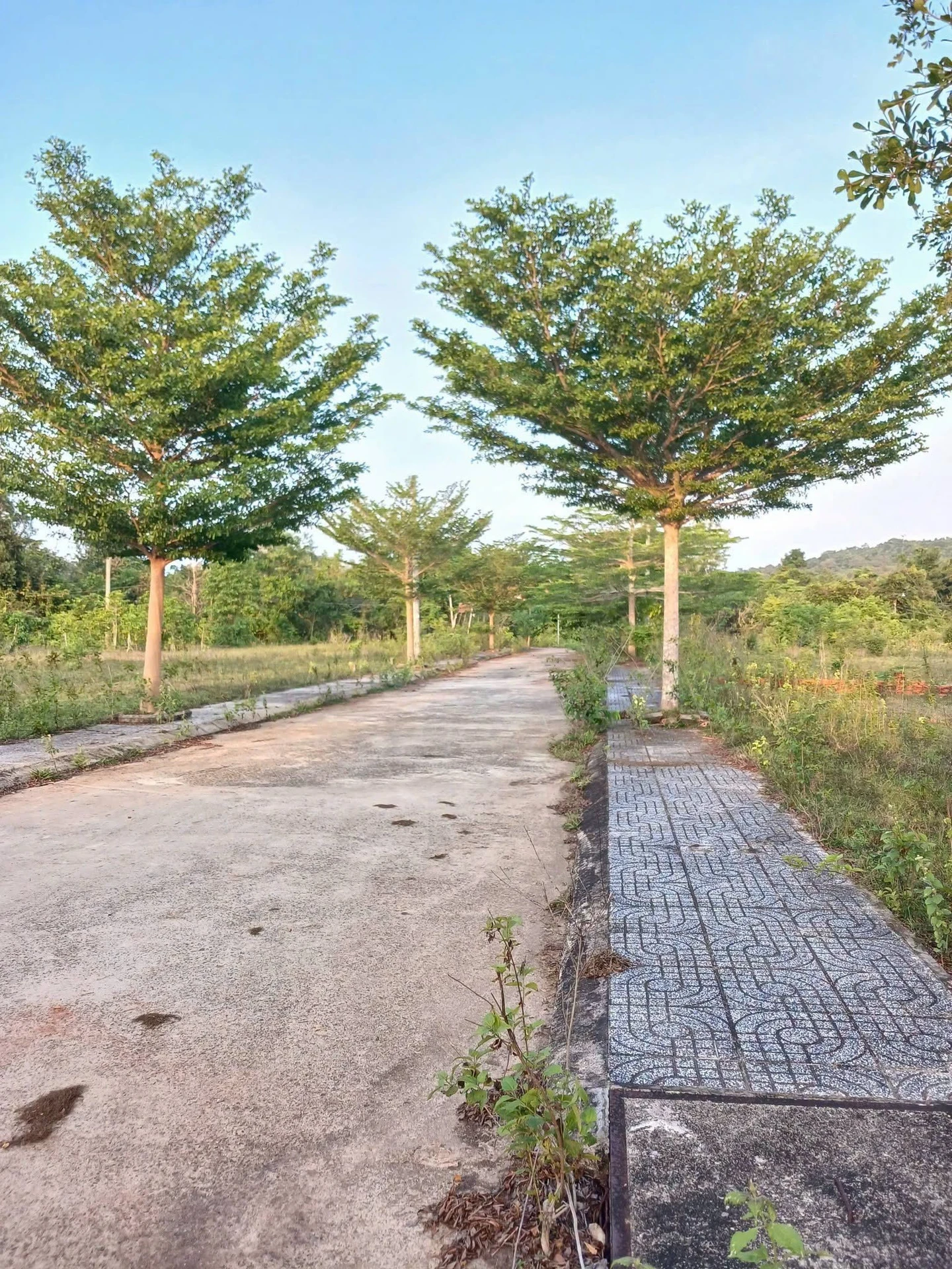 Bán nhà hẻm 4m đường Hai Bà Trưng, Phường 8, Quận 3, 70m2, trệt lầu, giá 11 tỷ details - Ảnh 1