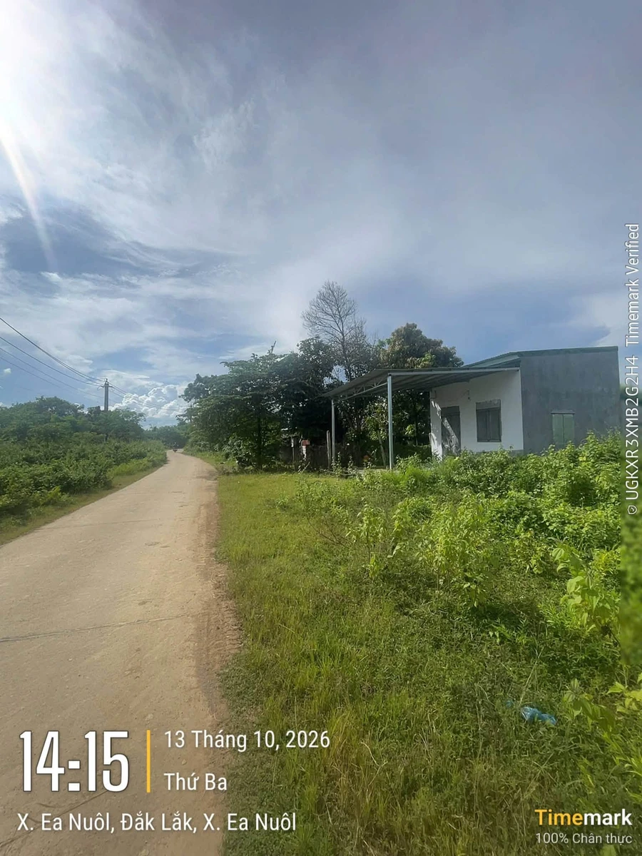 Bán đất 500m2 mặt đường Betong Quận 12 - Ảnh thu nhỏ 4