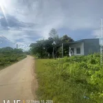 Bán đất 500m2 mặt đường Betong Quận 12 - Ảnh thu nhỏ 4