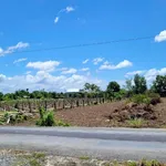 Bán đất lúa mặt tiền 1151m² An Lục, Châu Thành, Long An - Ảnh thu nhỏ 3
