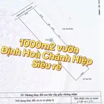 Bán đất vườn Định Hoà Chánh Hiệp trên 1000m2, giá 5,9 tỷ - Ảnh thu nhỏ 2