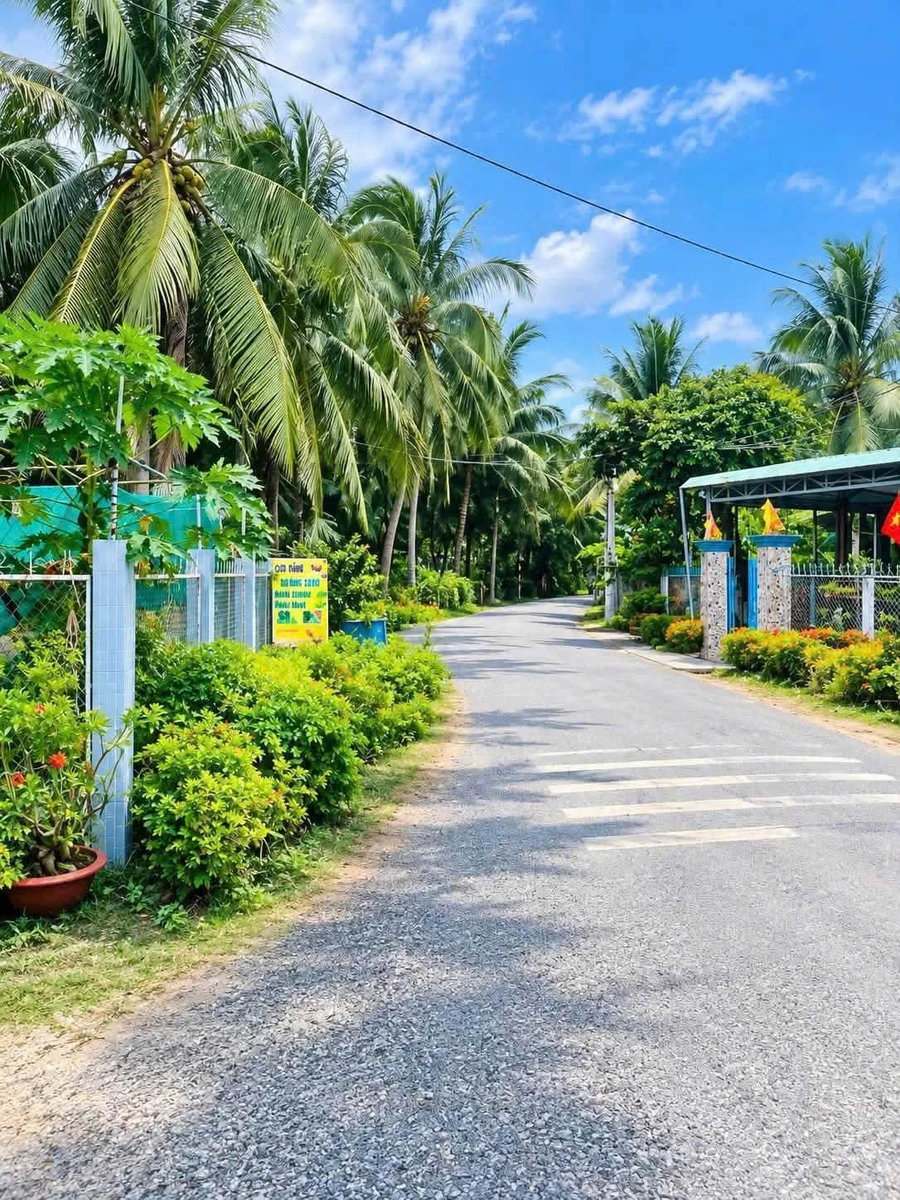 Bán đất mặt tiền 220m² Đê Tây Chợ Gạo Tiền Giang 590 triệu - Ảnh 1