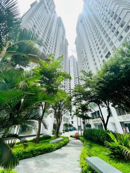 Quỹ hàng ngoại giao căn tòa A1 giá nét 2,2 tỷ căn 72m2 thanh toán 367tr ký HĐ trả giãn 10 năm - Ảnh thu nhỏ 3