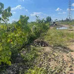 Bán đất vườn 600m² Bình Đức, Bến Lức, Long An 525 triệu - Ảnh thu nhỏ 2