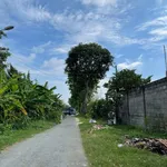 Nhà vườn bán Xã Thái Mỹ 300m² giá 4 tỷ - Ảnh thu nhỏ 2