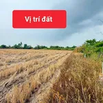 Bán đất 5x20m thổ cư 100% đường nhánh Võ Trường Toản, Rạch Giá giá 440 triệu - Ảnh thu nhỏ 5