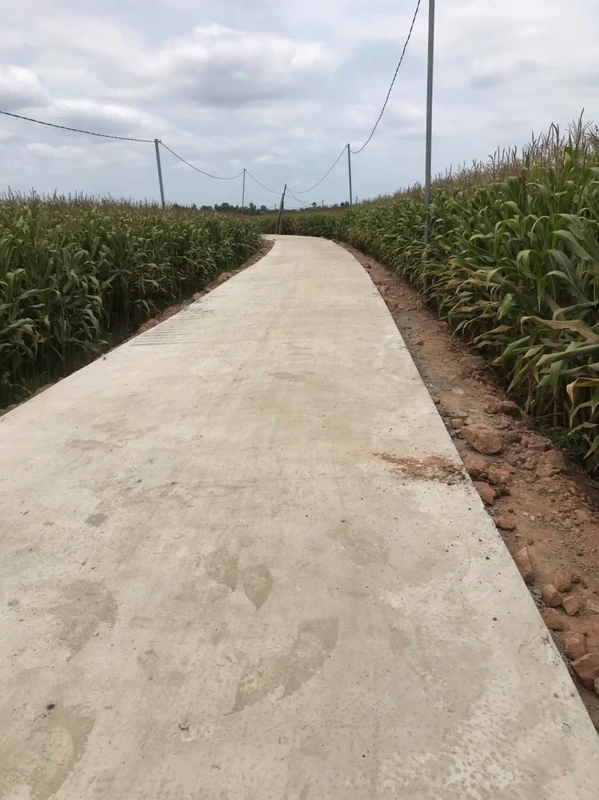 Bán 1005,8m² đất nông nghiệp Xuân Phú, Đồng Nai 380 triệu