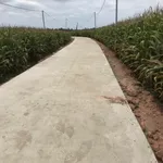 Bán 1005,8m² đất nông nghiệp Xuân Phú, Đồng Nai 380 triệu - Ảnh thu nhỏ 1