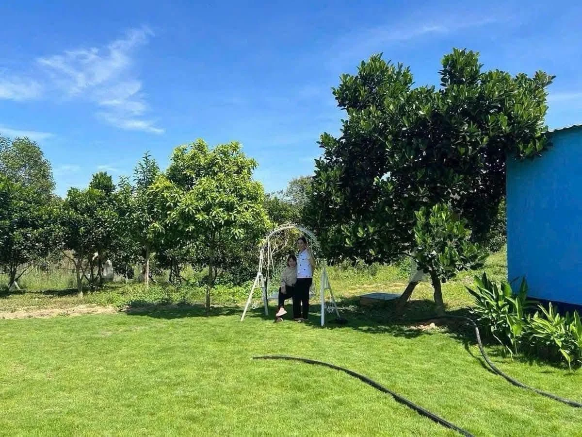 Bán farm 2ha view suối Định Quán, Đồng Nai - 5 tỷ - Ảnh 1