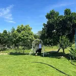 Bán farm 2ha view suối Định Quán, Đồng Nai - 5 tỷ - Ảnh thu nhỏ 1