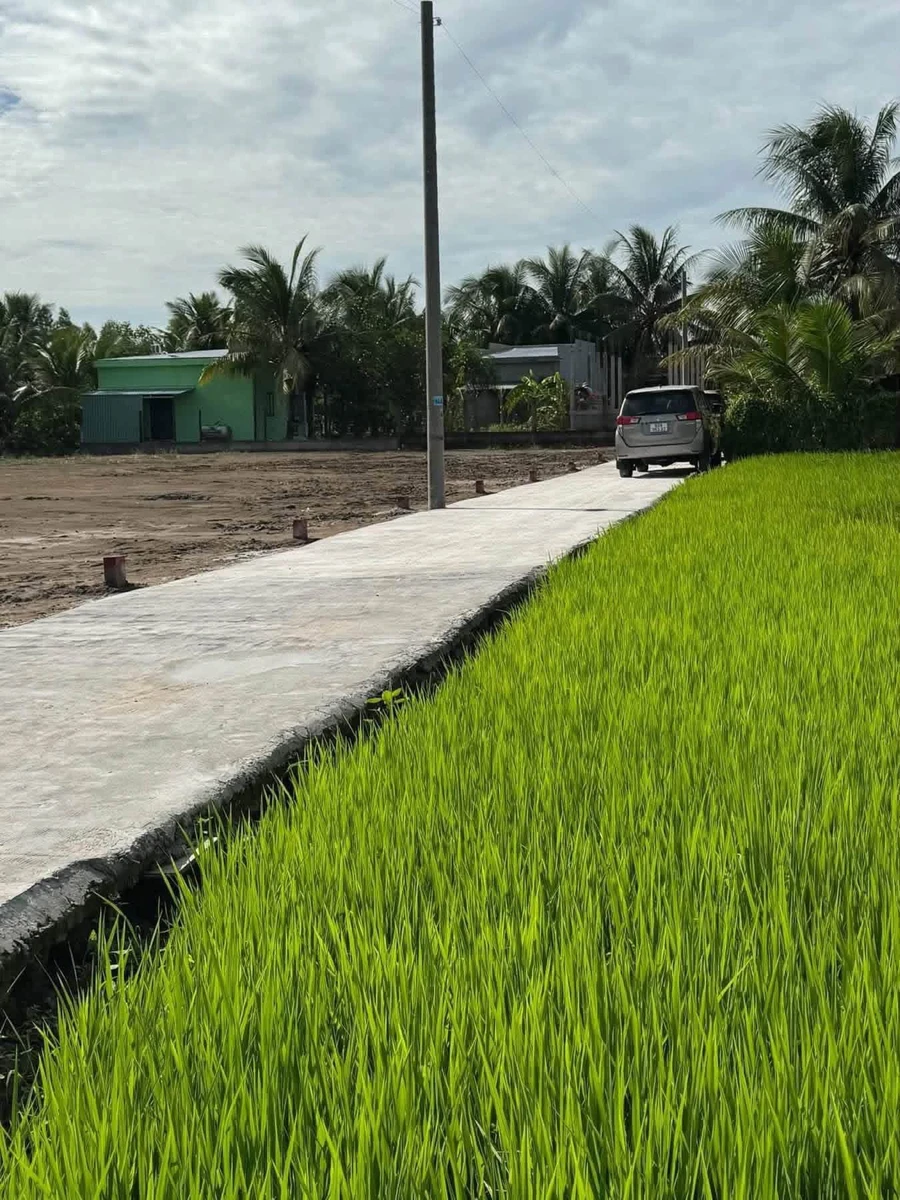 Bán đất nền thổ cư 5x34m, mặt tiền đường bê tông 3,5m, xã Long Cang, Cần Đước - Ảnh thu nhỏ 2