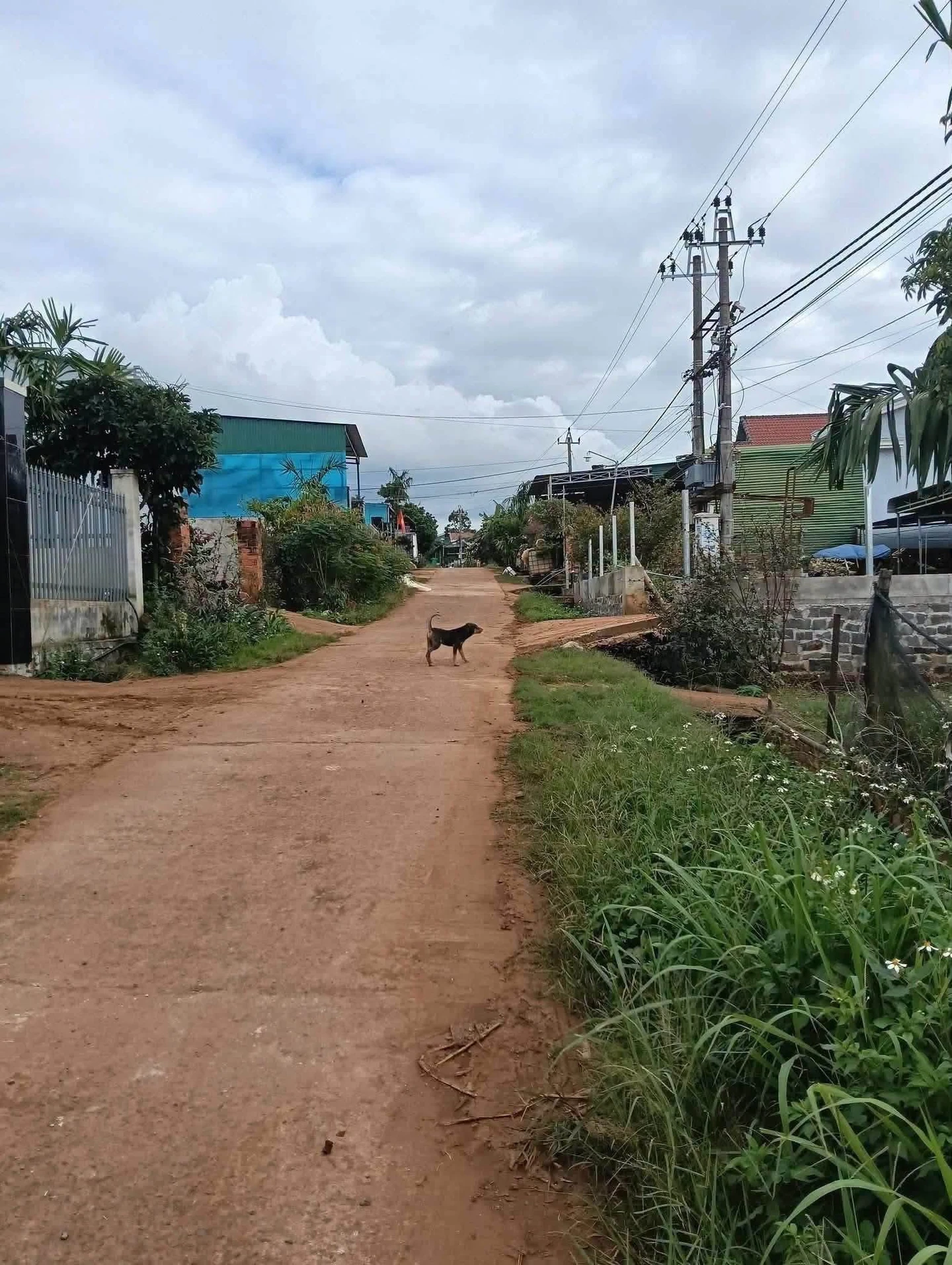 Bán lô đất 100m2 Thuận An Bình Dương 715 triệu - Ảnh 1