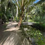 Bán đất 300m² Xã Tân Thanh Tây Nhà Bè 690 triệu - Ảnh thu nhỏ 1