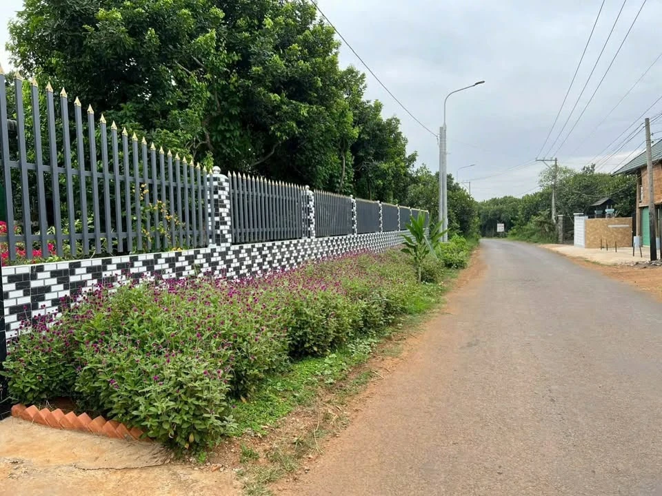 Bán đất vườn 3056m² Long Bình, Long Khánh, Đồng Nai - Ảnh thu nhỏ 4