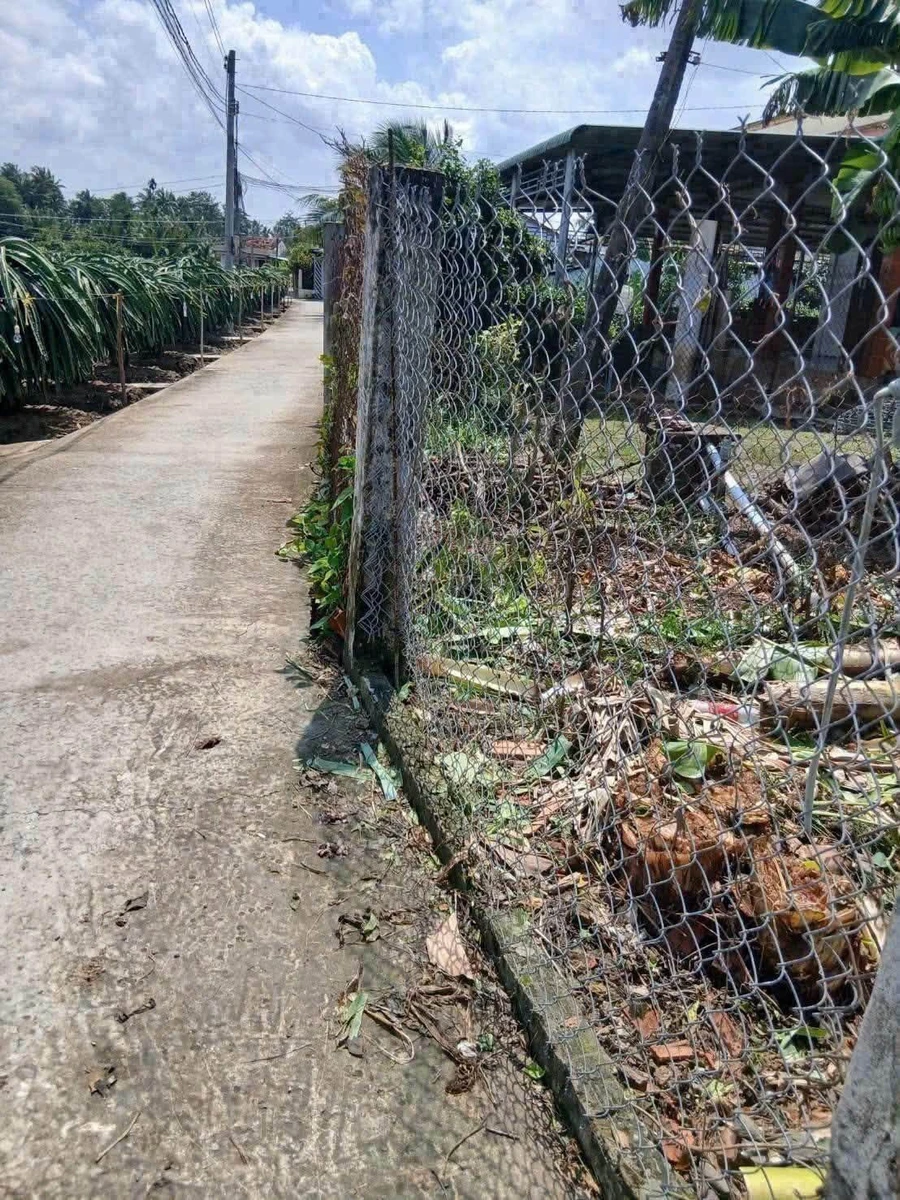 Bán lô đất 155m² Tầm Vu, Long An 600 triệu - Ảnh thu nhỏ 3